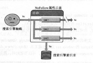 nofollow