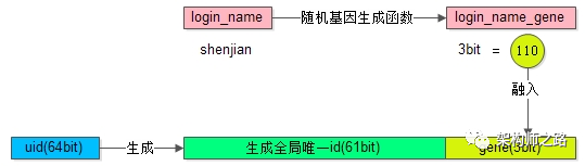 login_name基因融入uid