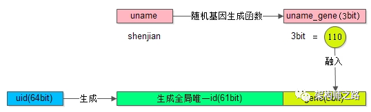 uname基因融入uid